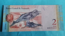 Laden Sie das Bild in den Galerie-Viewer, Venezuela 2 Bolivares  Unc zufällig
