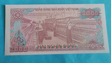 Laden Sie das Bild in den Galerie-Viewer, Vietnam 2000 Dong 1988 Unc
