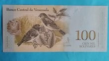Laden Sie das Bild in den Galerie-Viewer, Venezuela 100 Bolivares 13.12.2017 Unc

